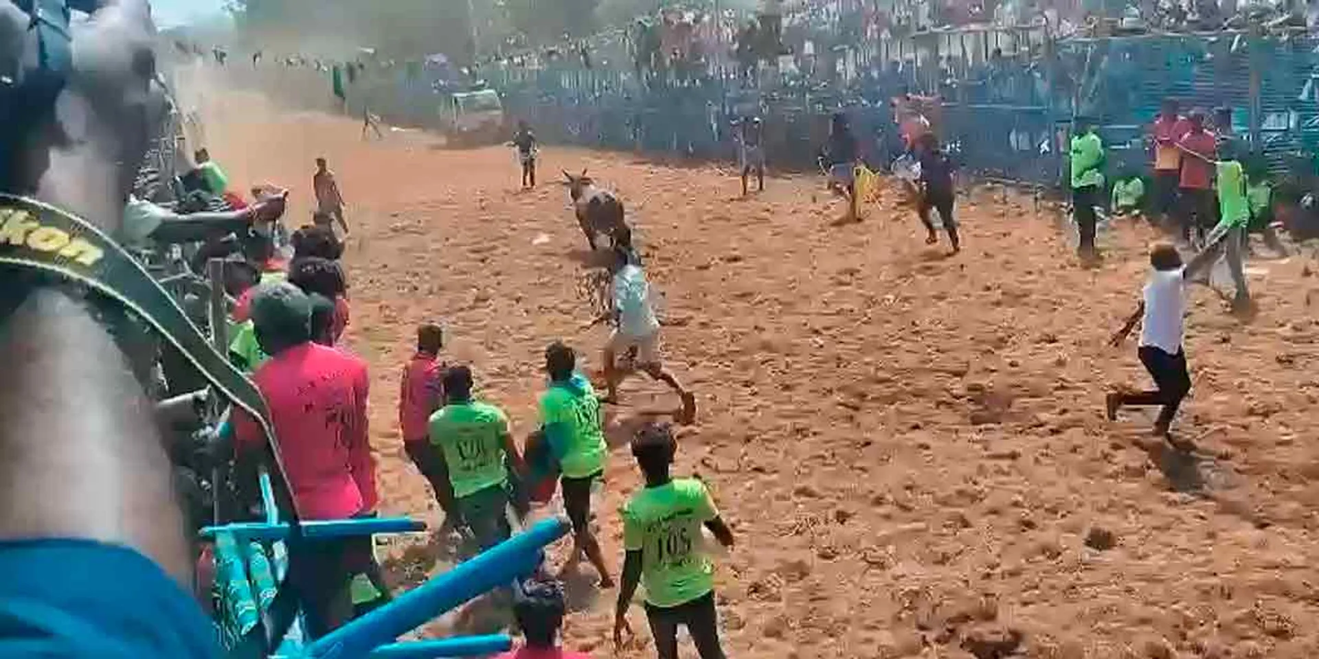 RD Malai Jallikattu... loses sight 