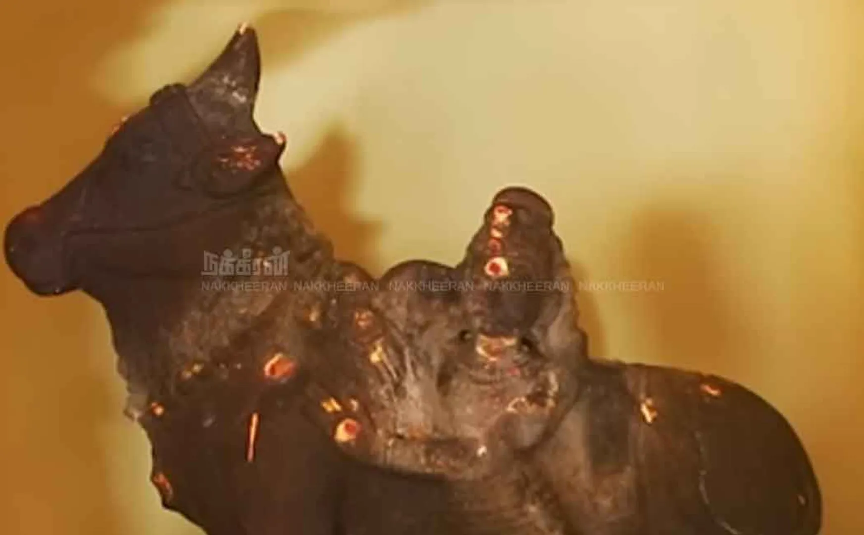 Madurai district vikkiramangkal mela soukkaanpatti jallikattu