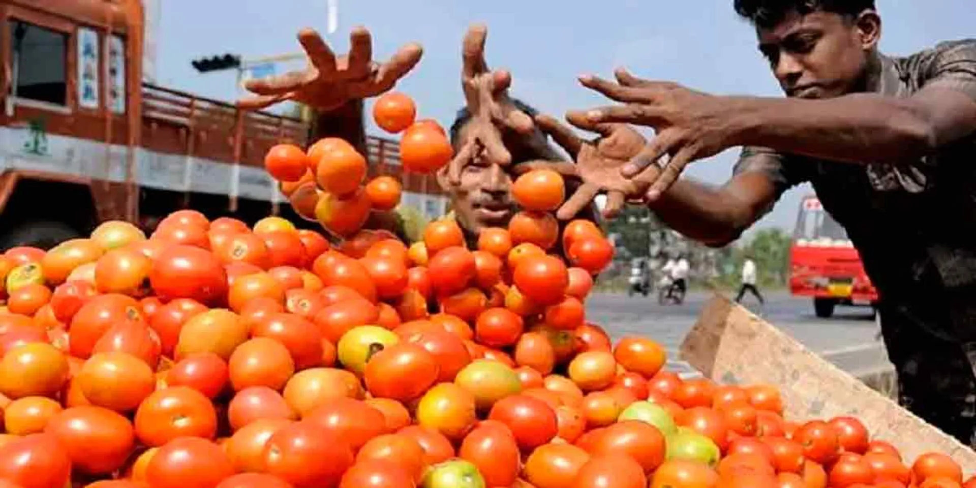 Sudden rise in tomato prices