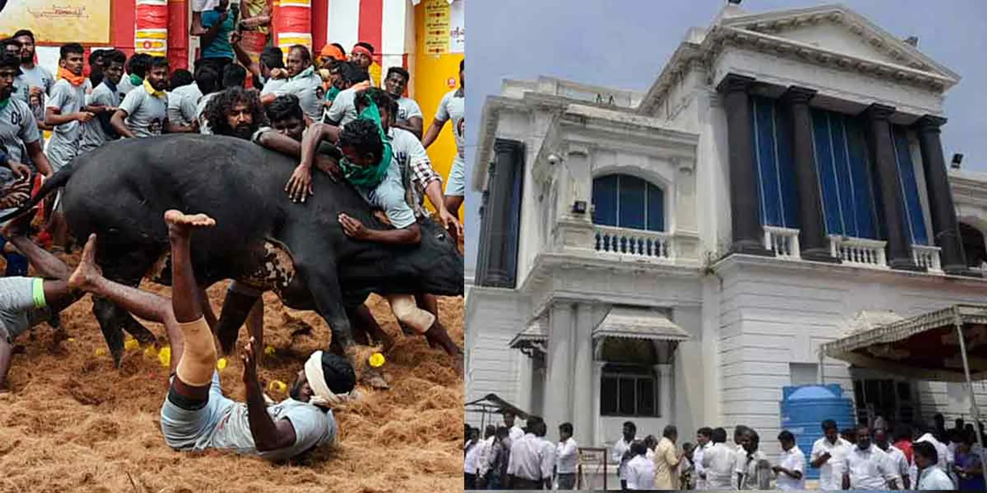 3 lakh each to the families of the three who lost life in Jallikattu