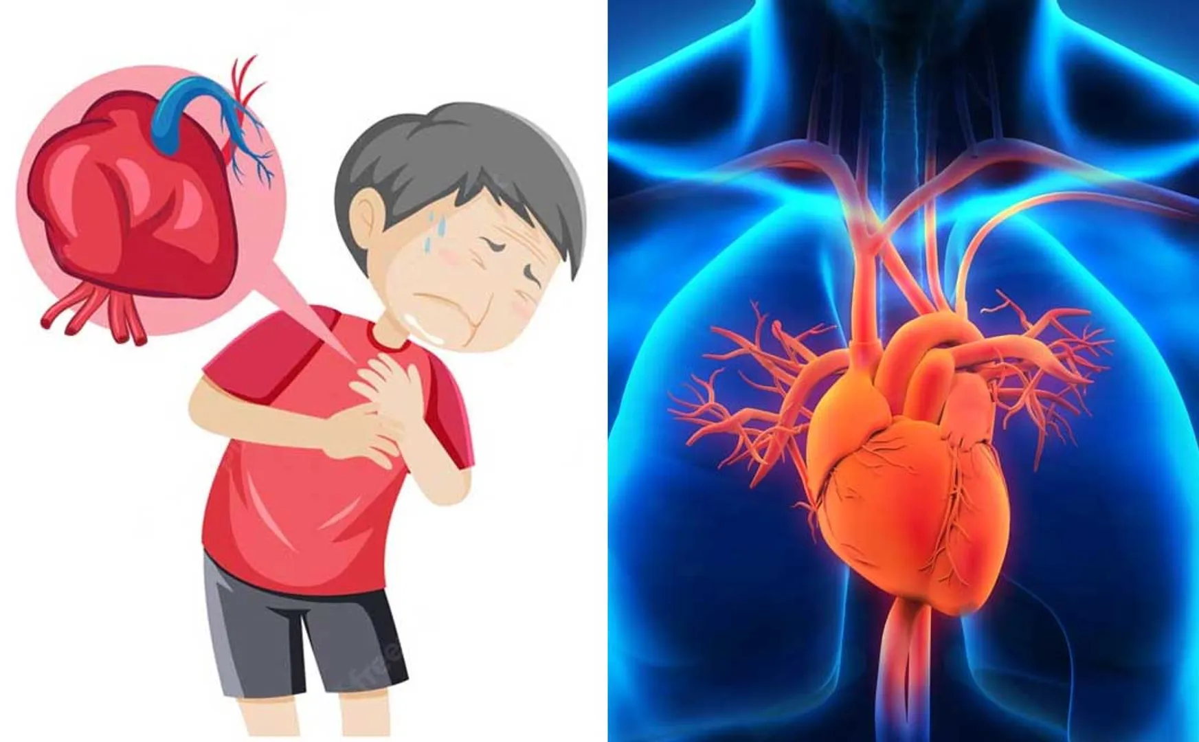 Heart attack and Heart Failure difference