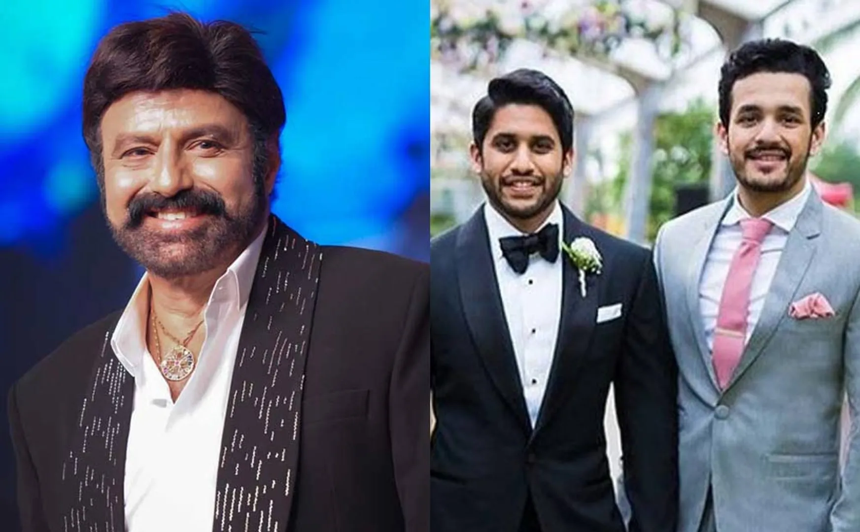 balakrishna akkineni issue 