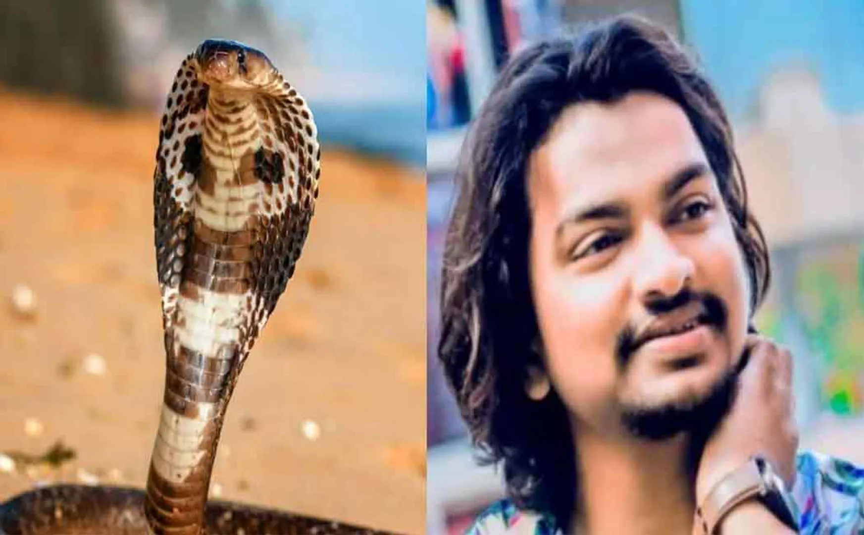 A man passed away after trying to take a selfie with a snake