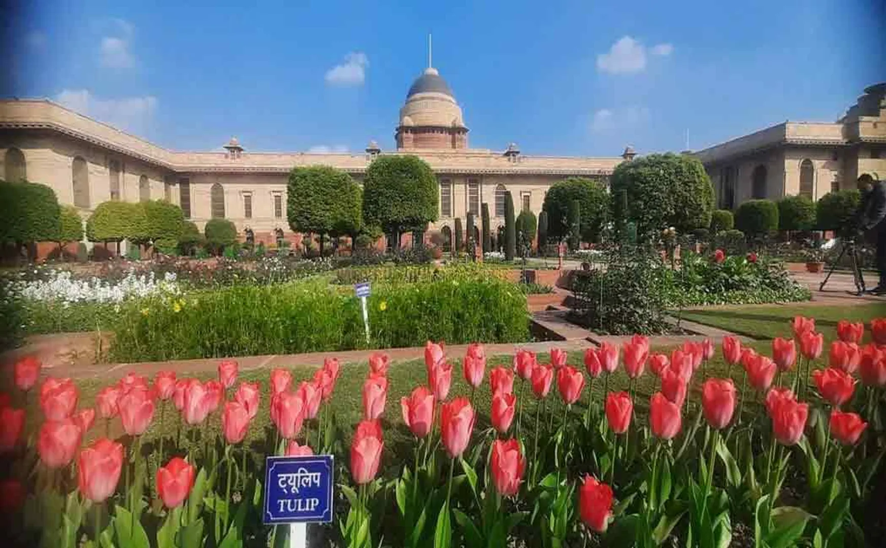The garden at the President's House has been renamed