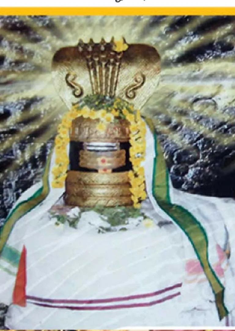 /idhalgal/om/choleeswarar-who-removes-trials-neivasal-nedunchezhiyan