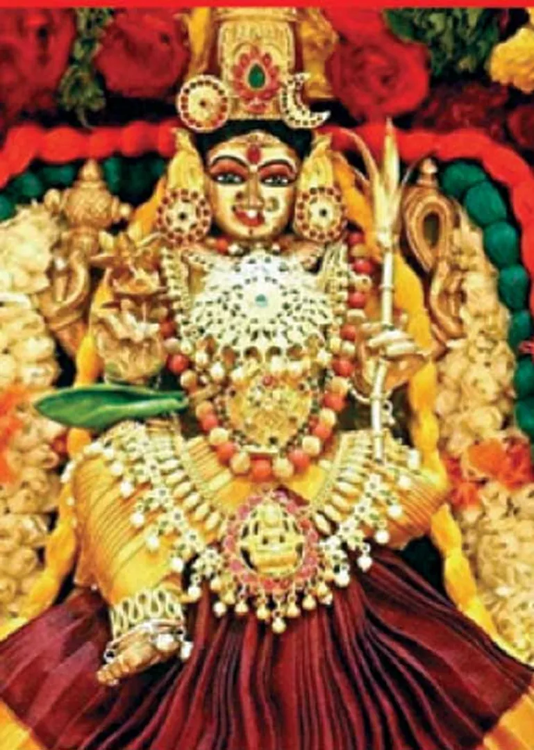 /idhalgal/balajothidam/mars-12-bhavas-capricorn