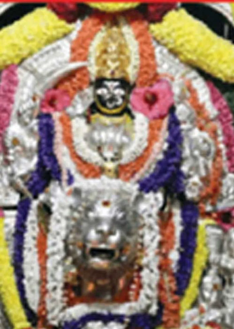 /idhalgal/om/banashankari-who-protects-devotees