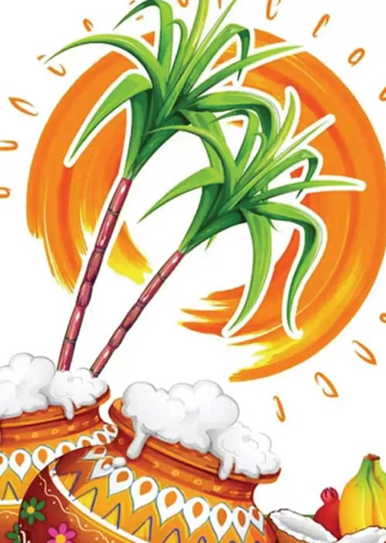 /idhalgal/balajothidam/best-time-celebrate-pongal
