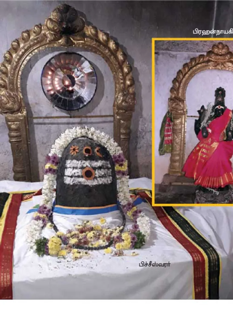 /idhalgal/om/thachur-phichiswarar-who-destroys-kalasarpa-dosha-palangamoor-mo-ganesh