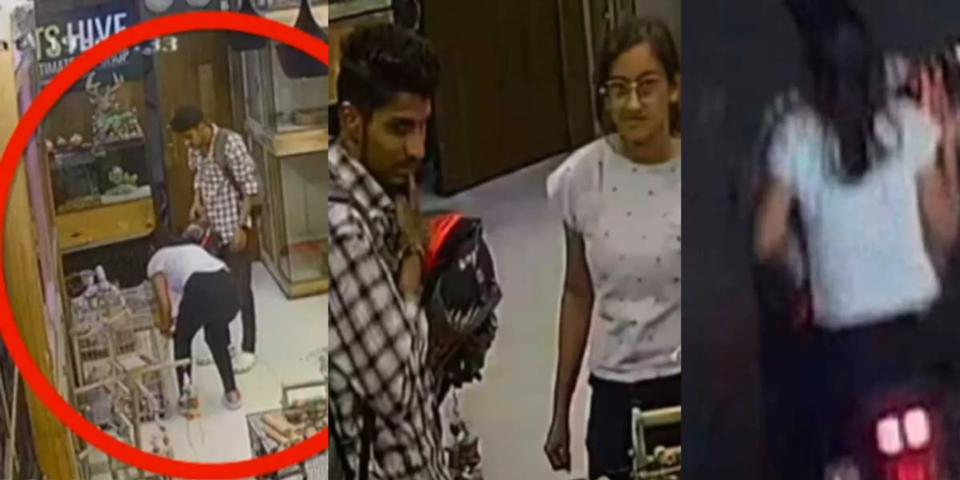  Theft in pet shop; College student, student arrested