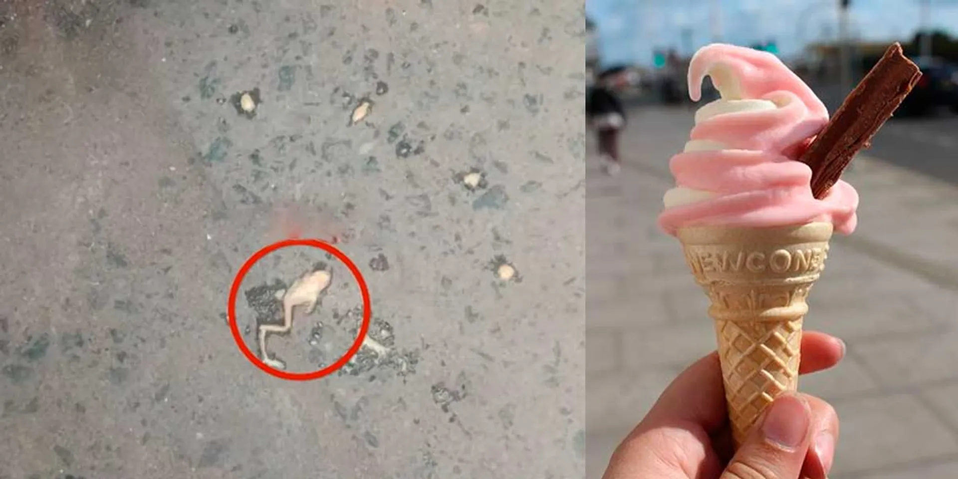  Frog in Ice Cream; Three children's health is affected
