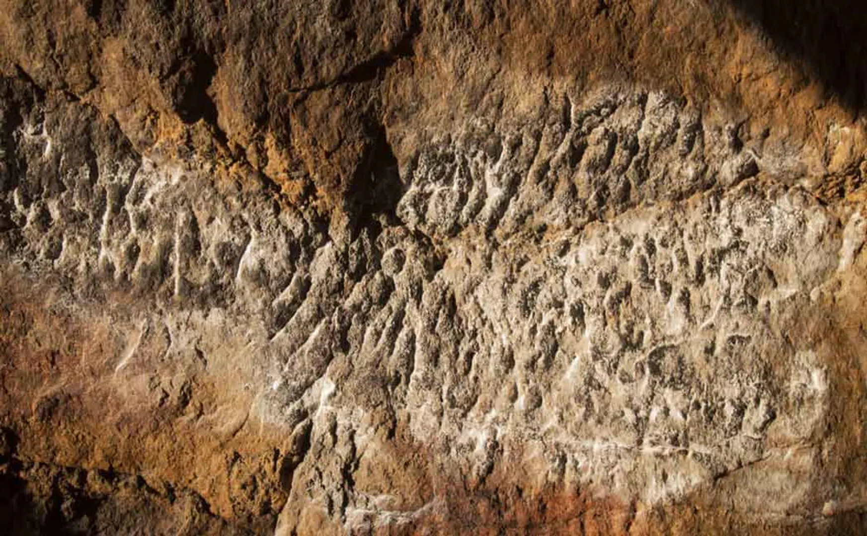 ancient tamil inscription discovered in madurai