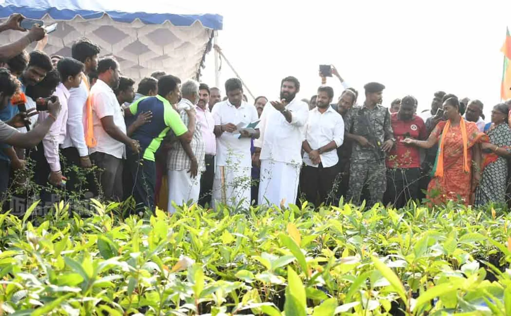tn bjp ten lakhs plantation campaign