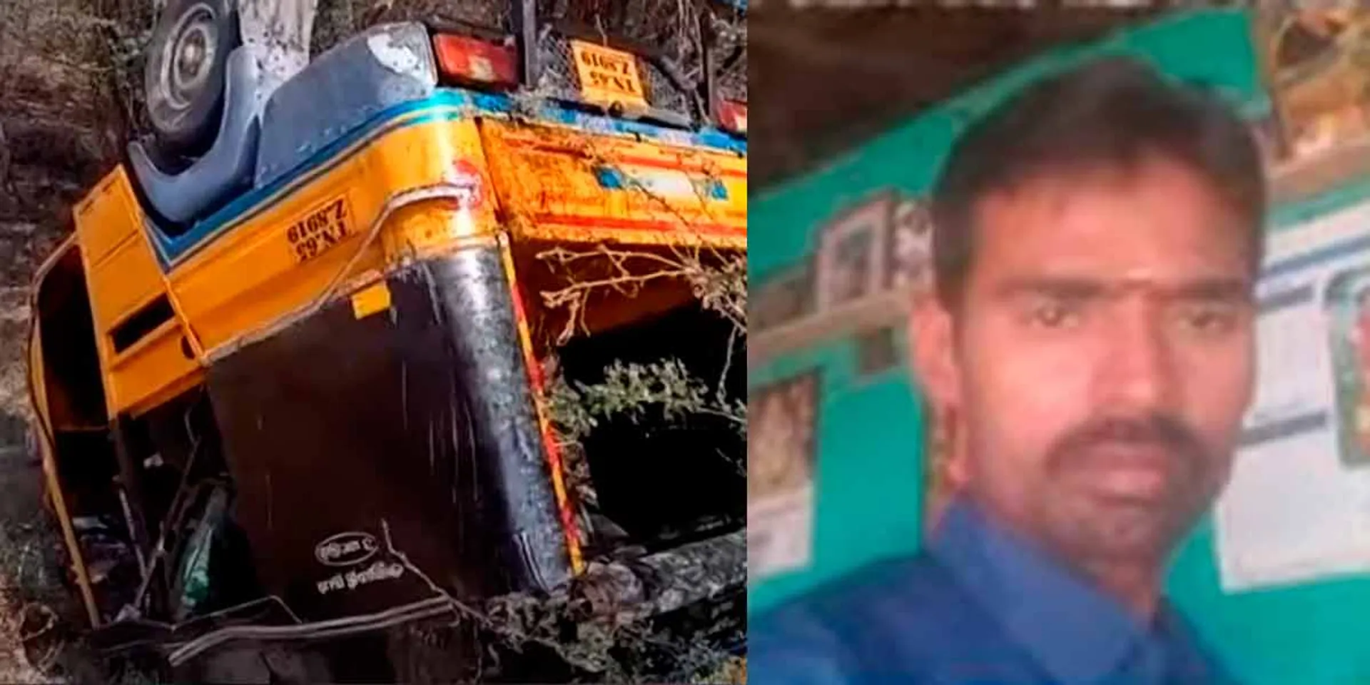 An accident caused by a wild boar; Auto driver fatality