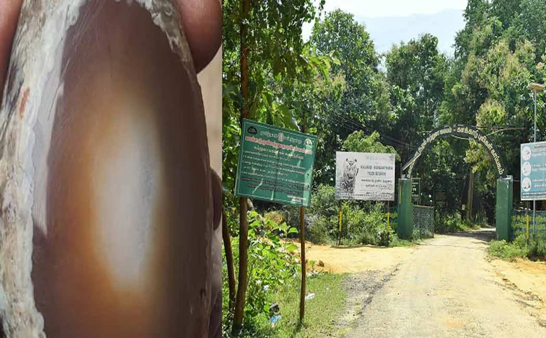 tirunelveli kalakad vitreous stones incident filed case in two persons 