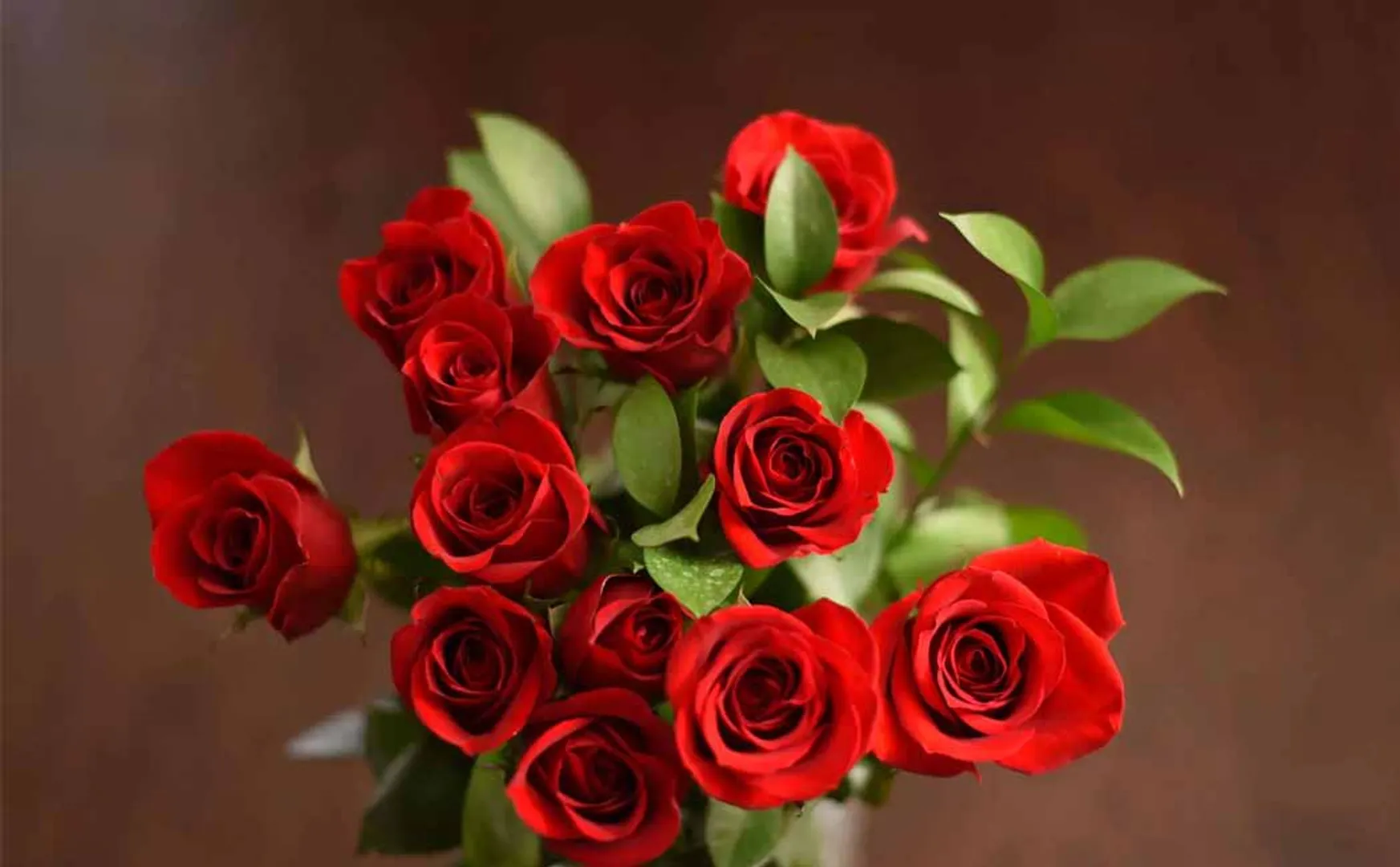 Rose prices rise on Valentine's Day