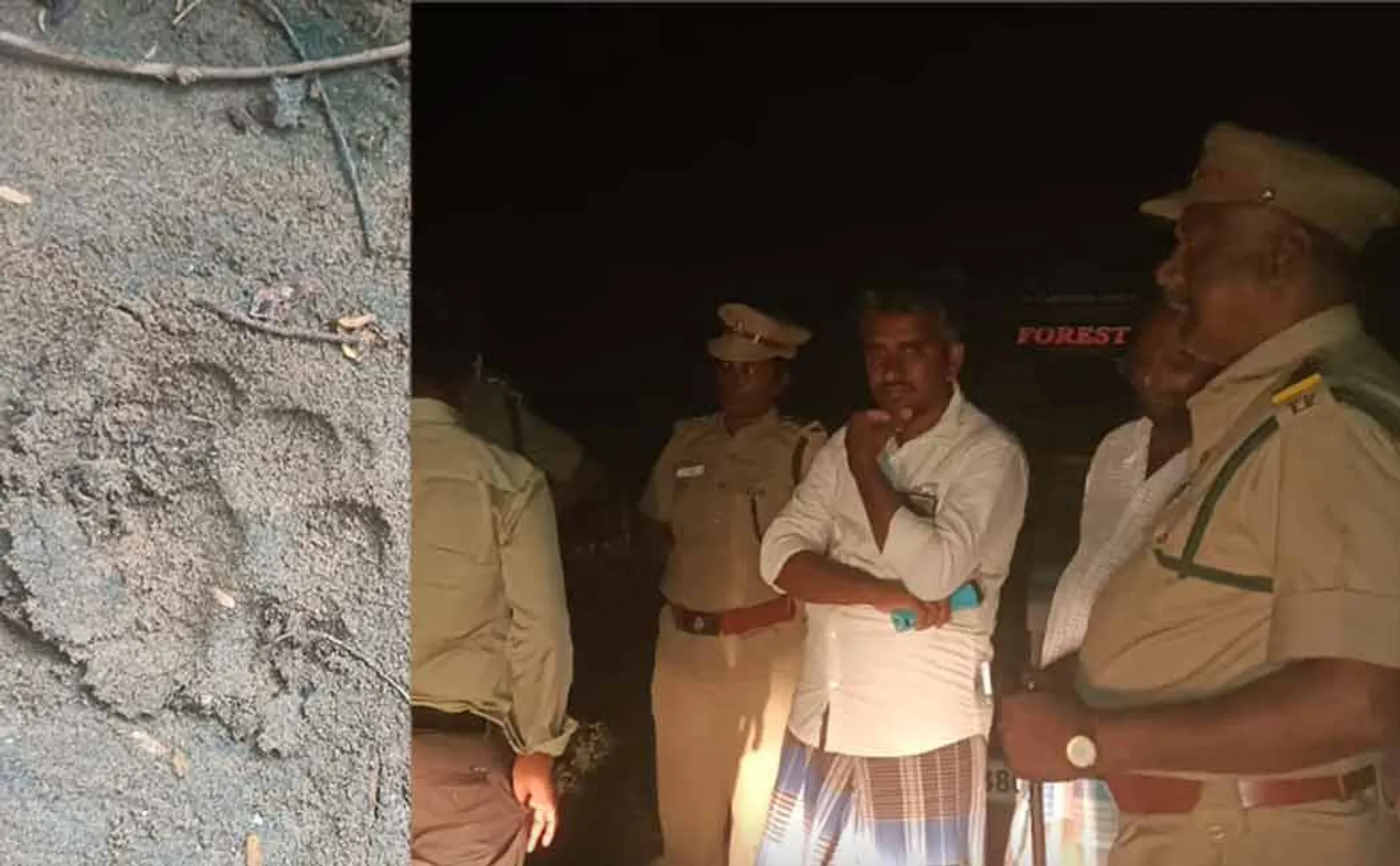karur goat incident unknown animal