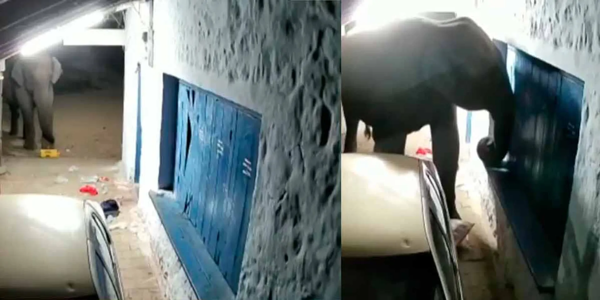 17th time a wild elephant broke the shop-villagers in fear
