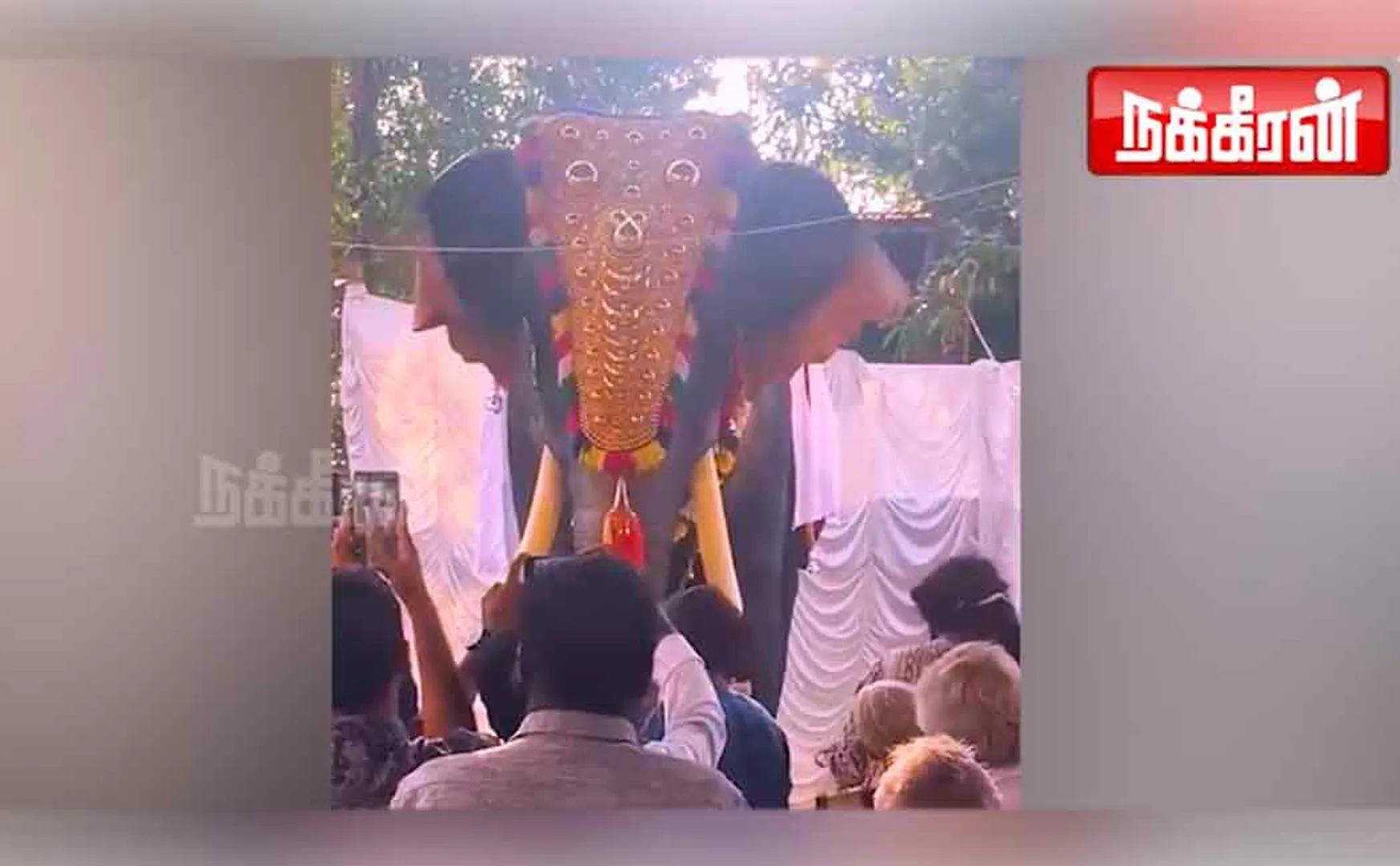 kerala thrissur krishna temple robo elephant viral video