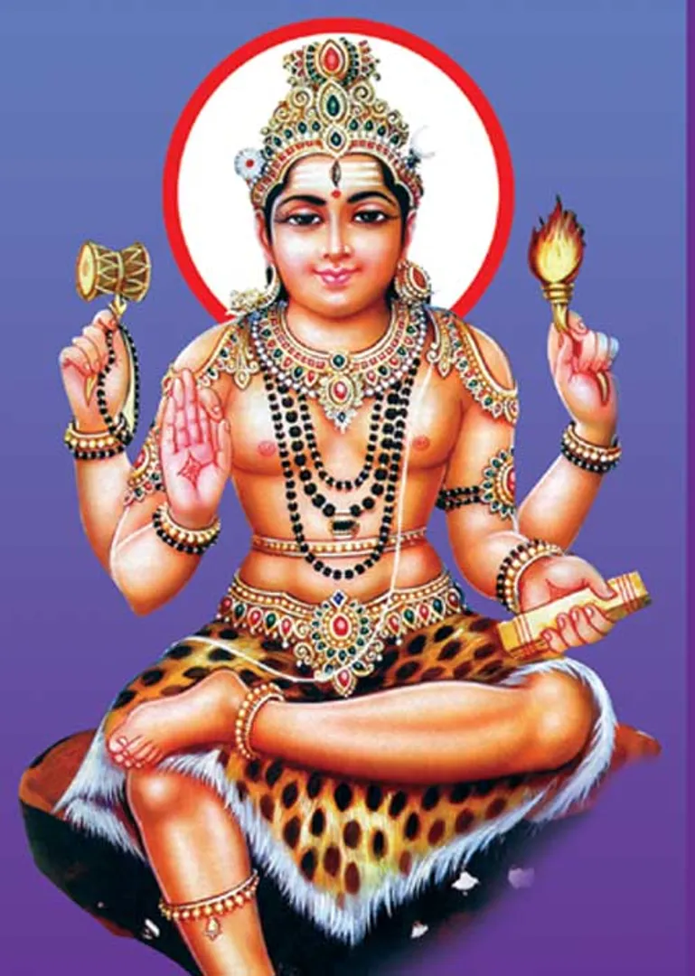 /idhalgal/balajothidam/guru-12-sins-makara-lagna