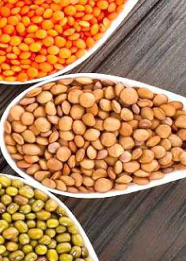 /idhalgal/general-knowledge/international-year-small-grains