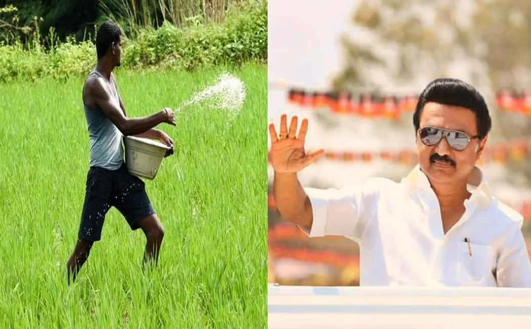 Unseasonal heavy rain! Chief Minister's Relief Aid to Farmers !!