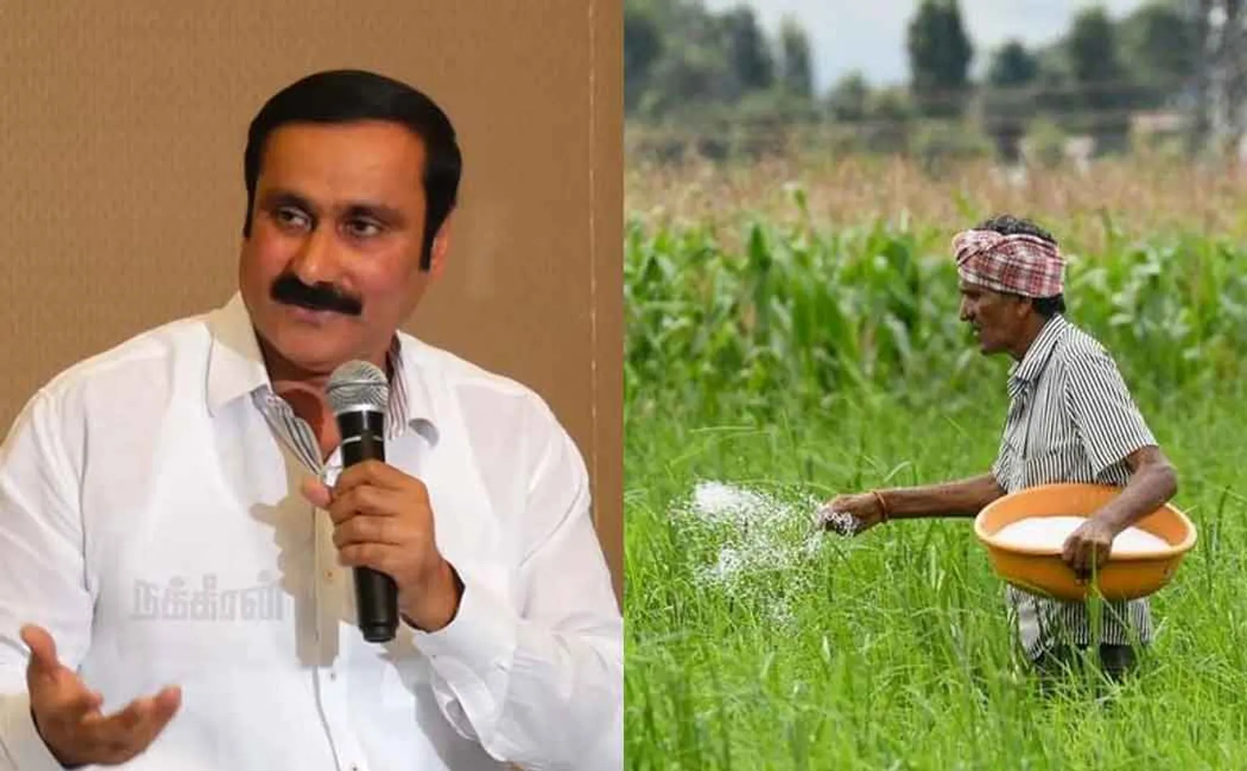Ramadas condemns the new system of the central government, 'If you want subsidized fertilizer, you need the name of the caste'