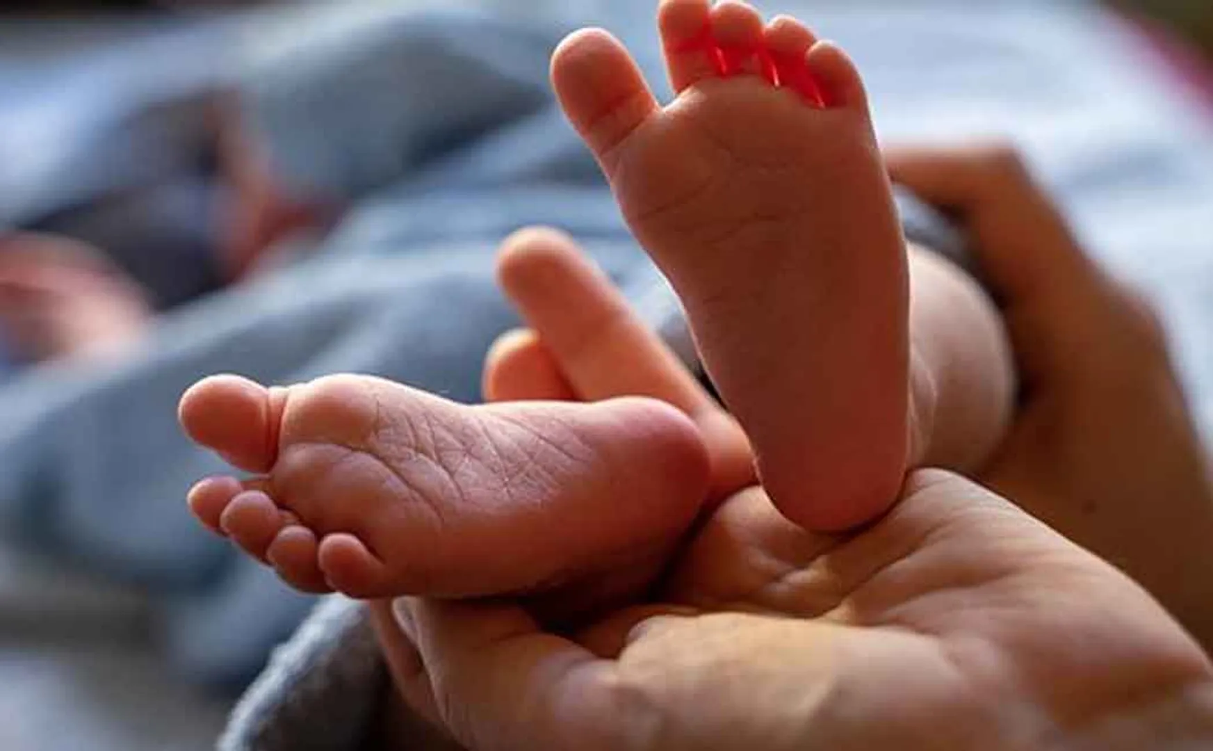 Cuddalore Baby business group traped  