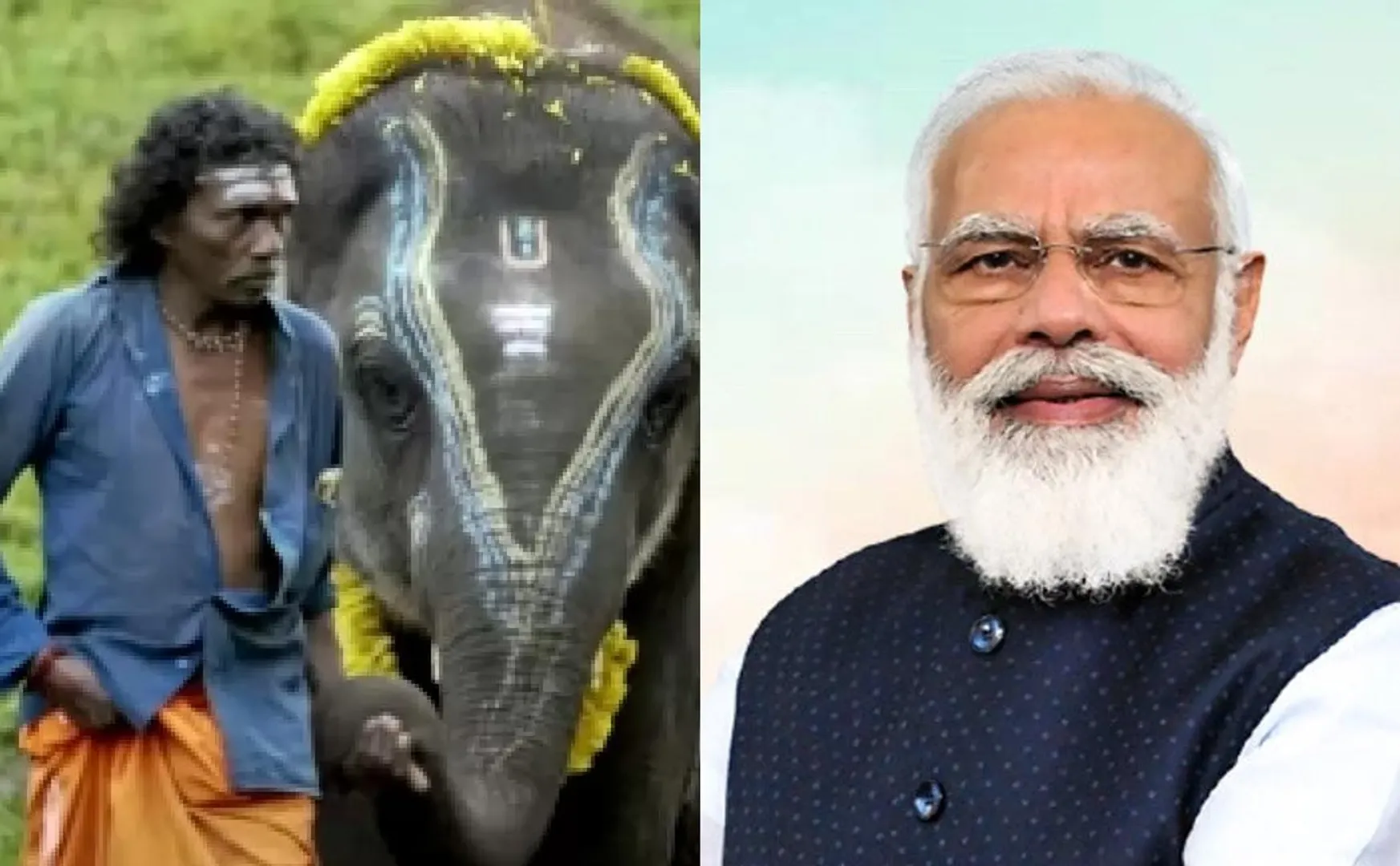 pm modi congrats rrr and The Elephant Whisperers for win oscar award 