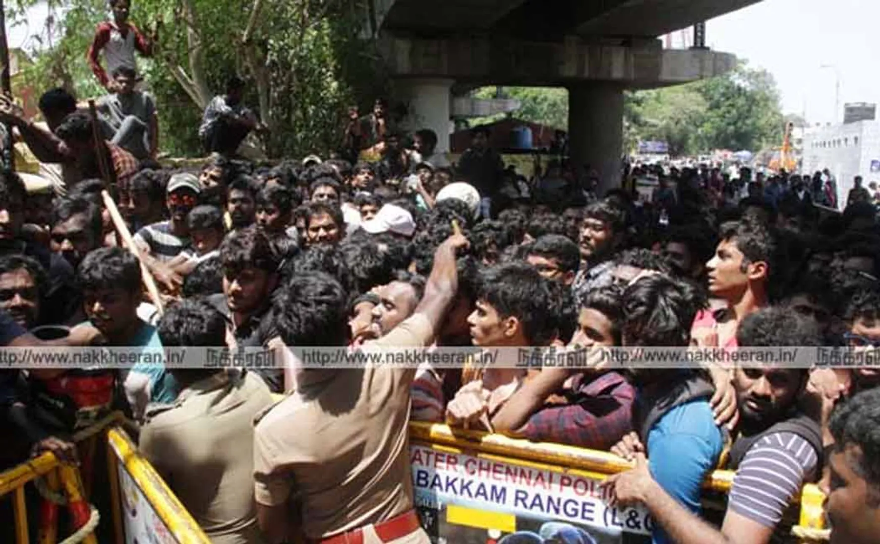 Ind Vs Aus Cricket fans gathered in Chepauk