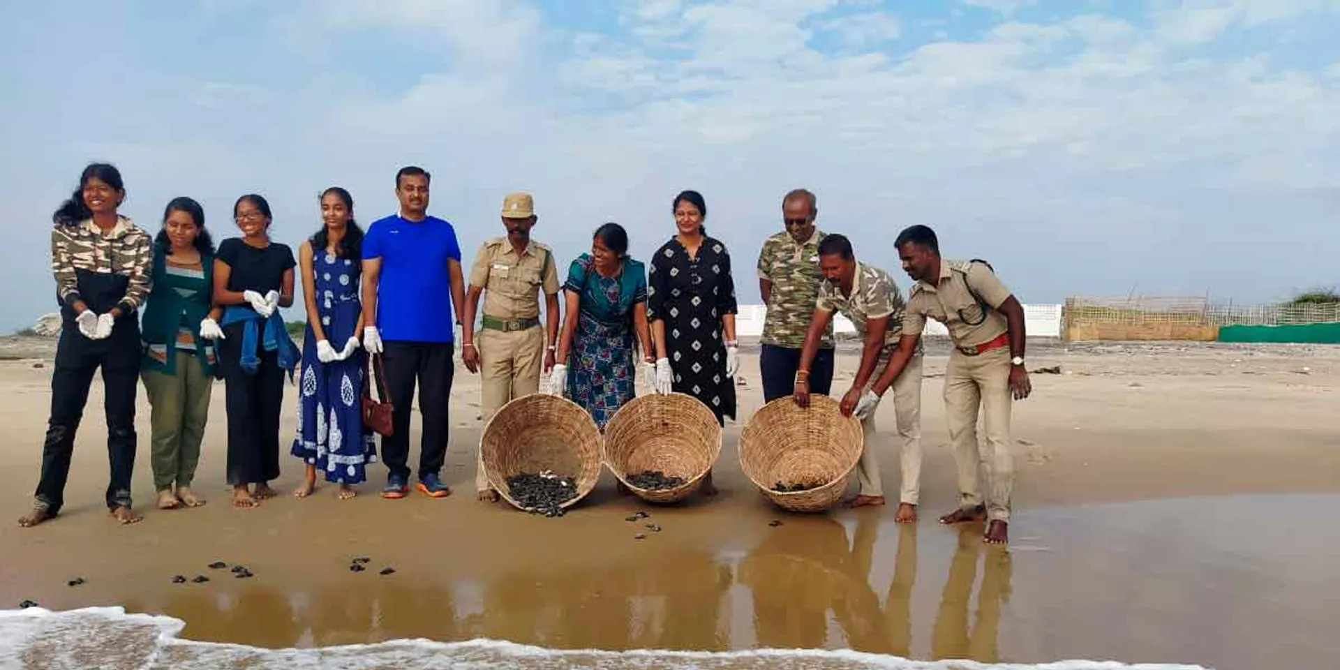 Olive Radley sea turtle hatchlings released in Pichavaram sea