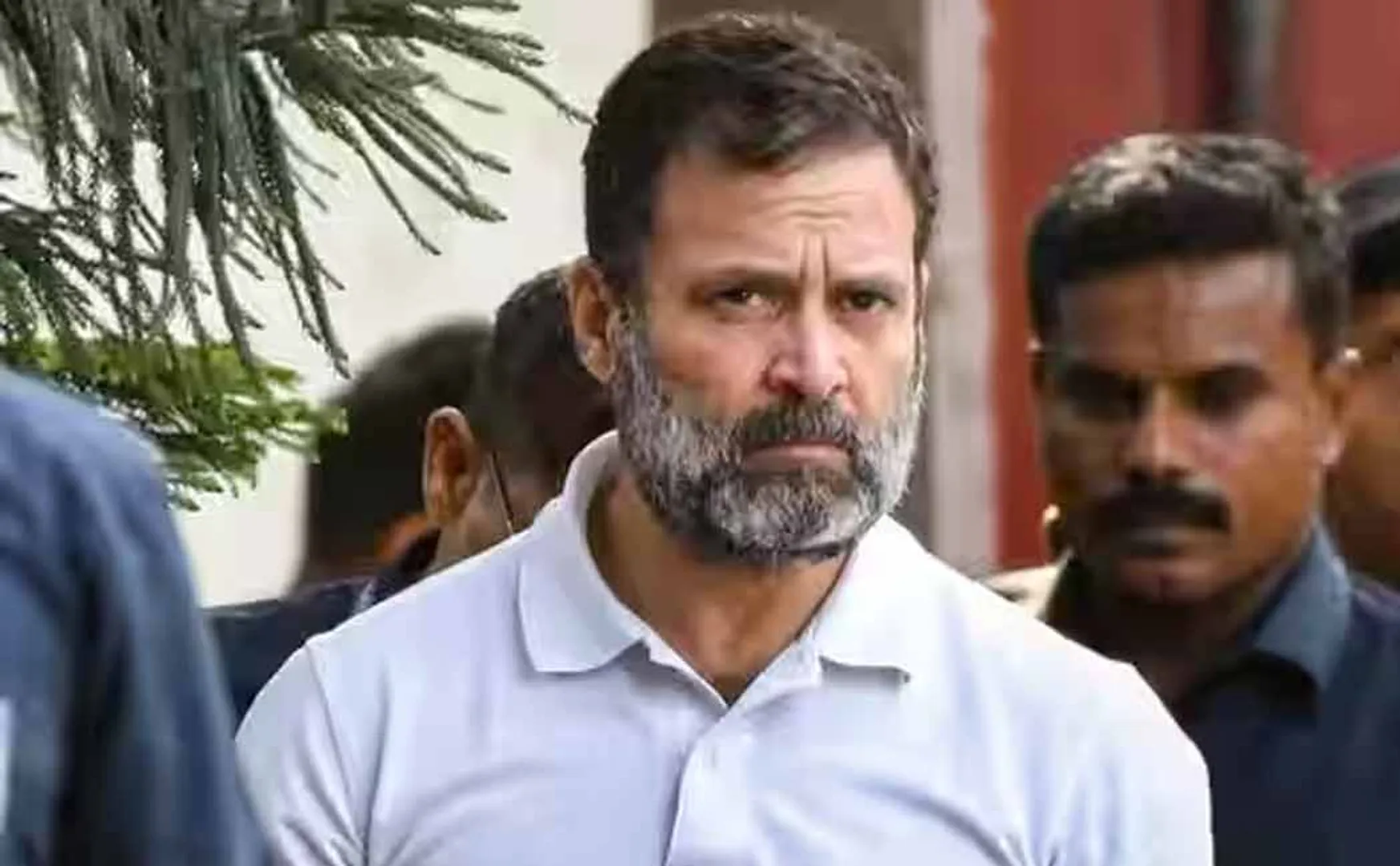 Case against Rahul Gandhi's MP disqualification in Supreme Court