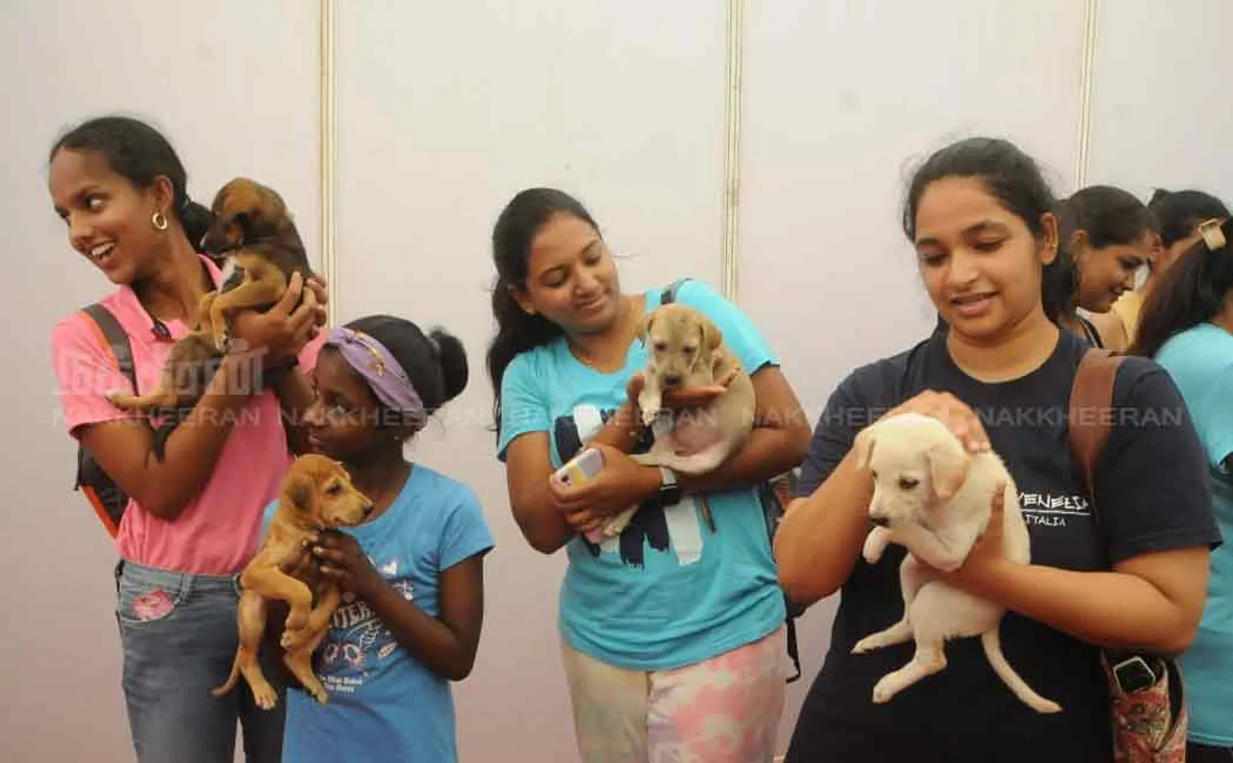 pet and dog show in chennai nandanam ymca ground 