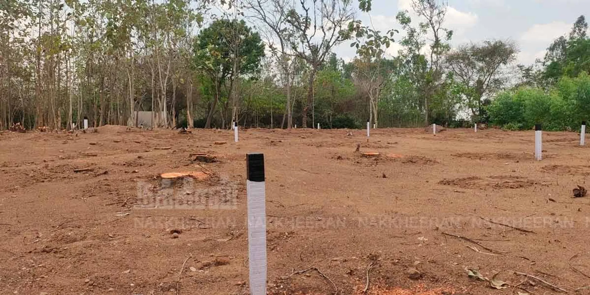 'Polpanai Kottay preparing for 2nd phase of excavation' - opportunity to be inaugurated by the Chief Minister