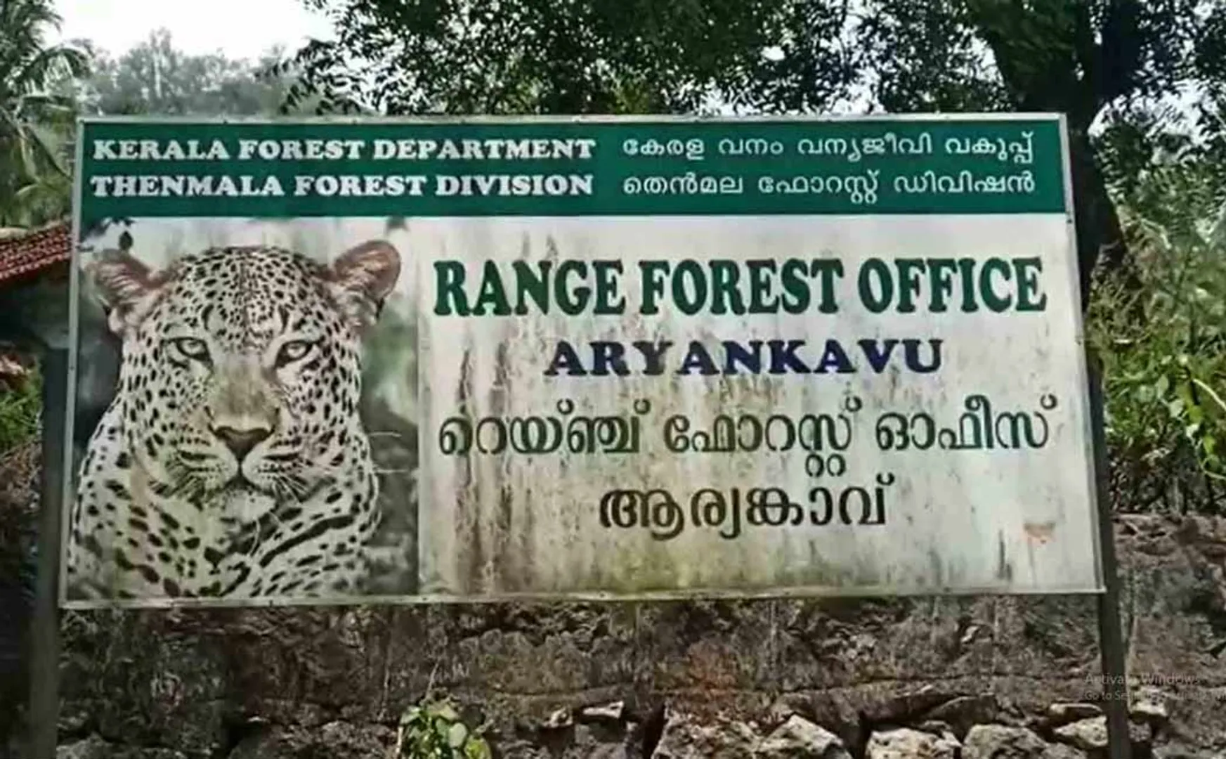 Tiger movement in Tamil Nadu Kerala border