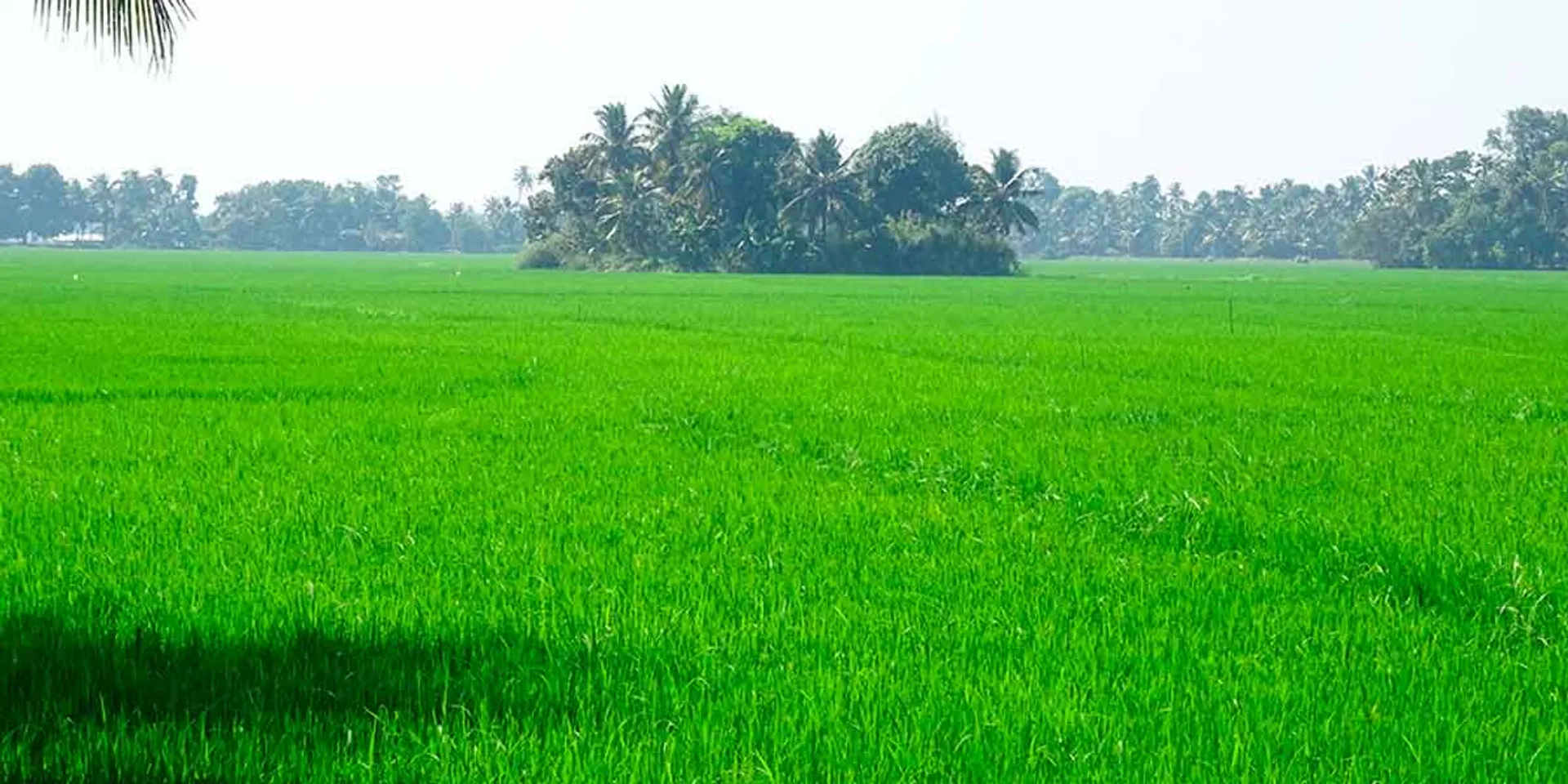 'Farmers should not worry' - Tamil Nadu government explanation for notification regarding coal mining