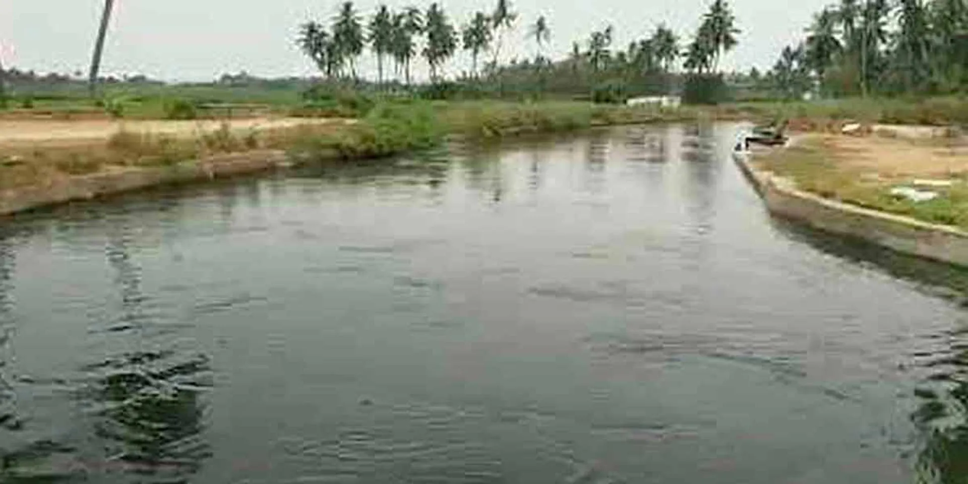 Old lady jumping into Kalingarayan canal