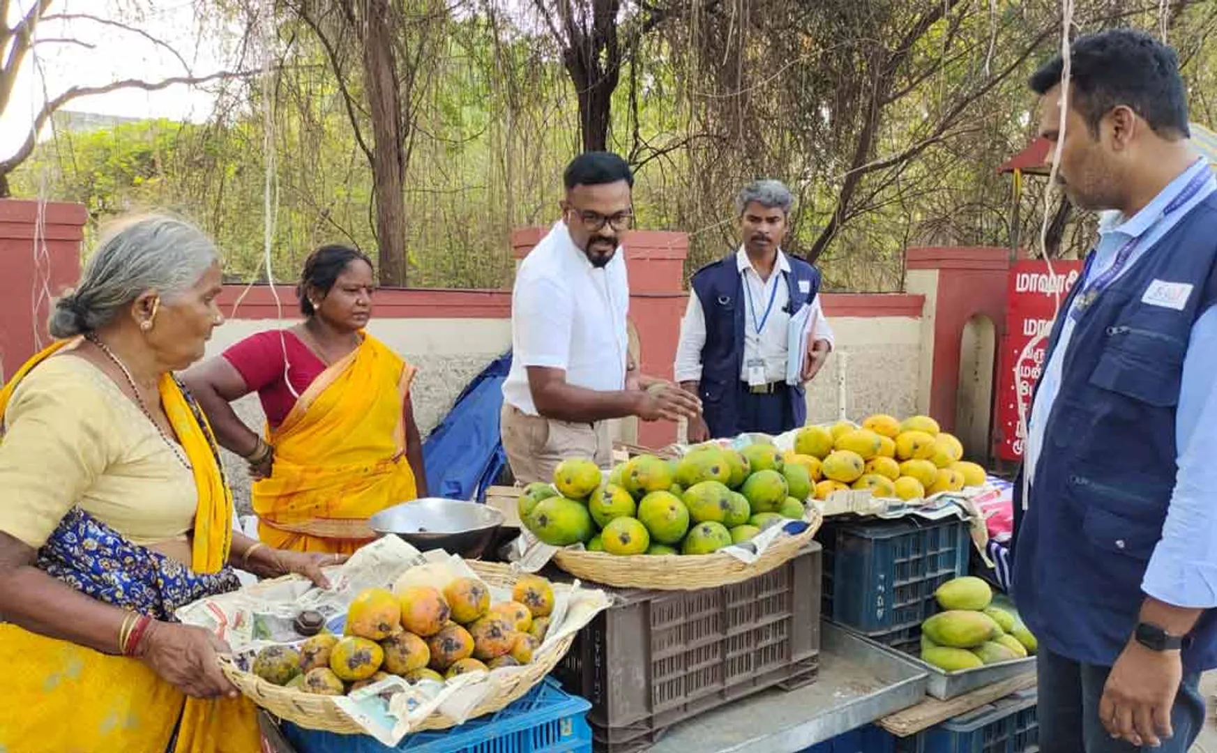 Food Safety Department officials have destroyed 260 kg of artificially ripened mangoes