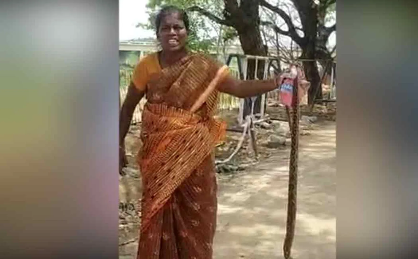 tirunelveli woman came district collector office with snake