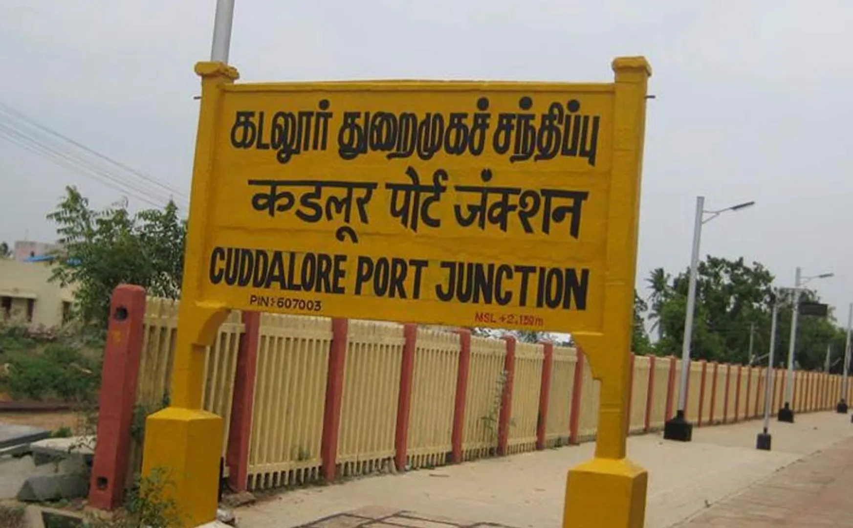 Cows, monkeys passed away by electric wire in Cuddalore