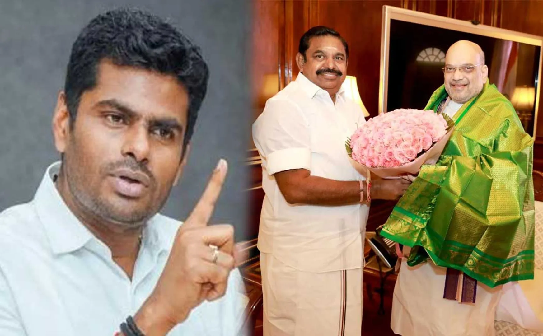 Difference between AIADMK and BJP again