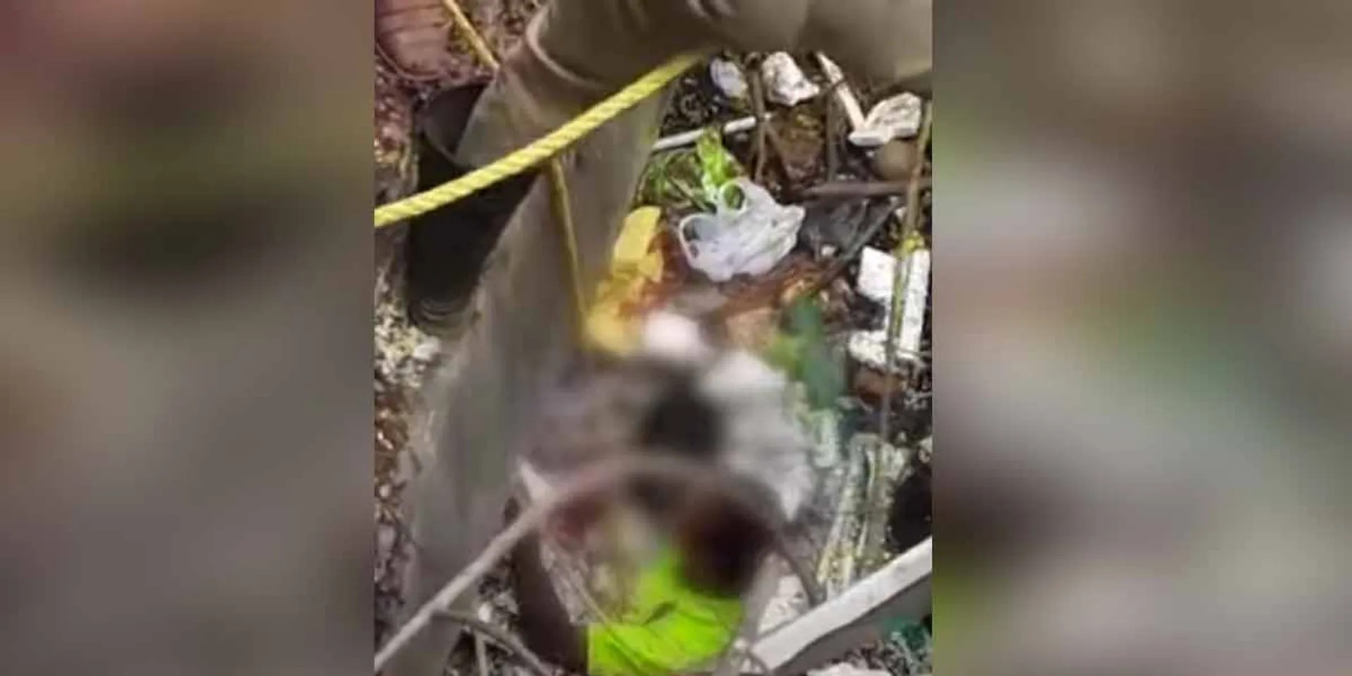  The boy who got into danger while fetching the cricket ball was rescued