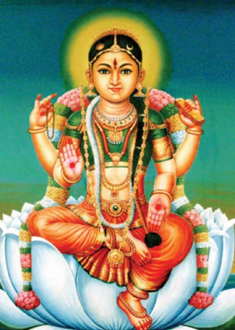 /idhalgal/balajothidam/venus-12-sins-aquarius