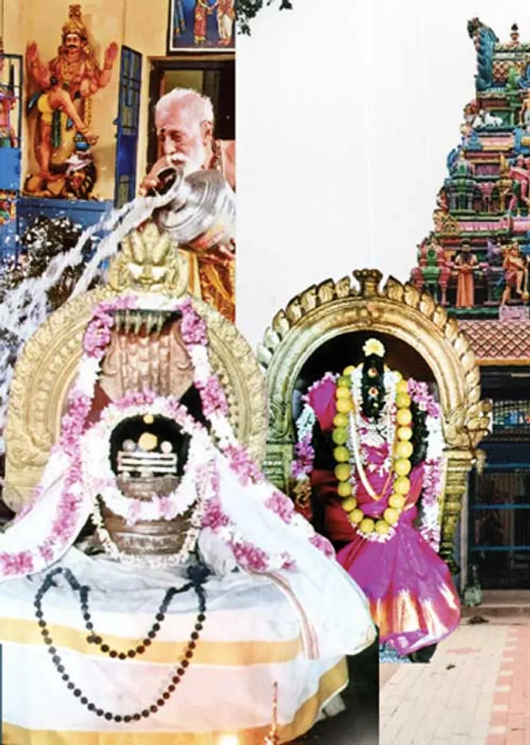/idhalgal/om/manakudi-manavalanathar-who-has-happy-life-marriage-coimbatore-arumugam