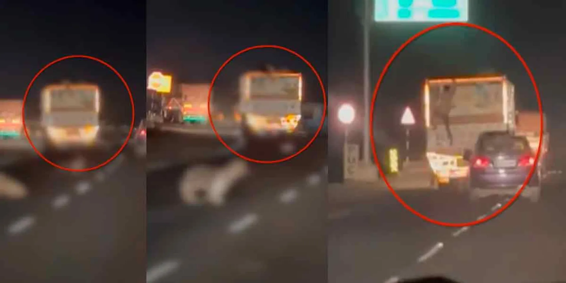 Stealing goats from a moving truck; Videos that go viral