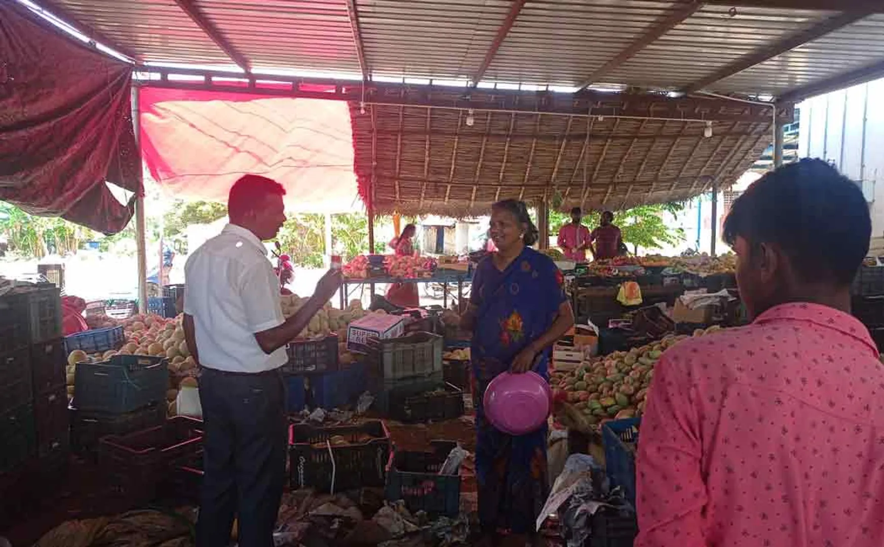 Mangoes sprayed with ethylene chemical were confiscated!
