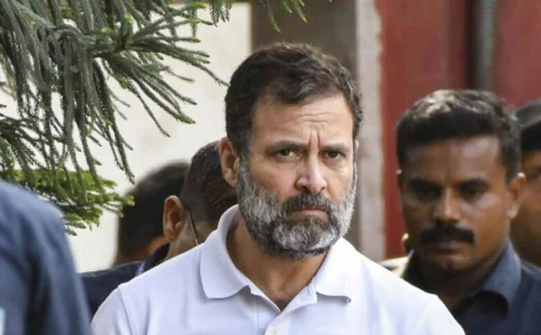 Rahul gandhi sentenced to jail and promoted to judge