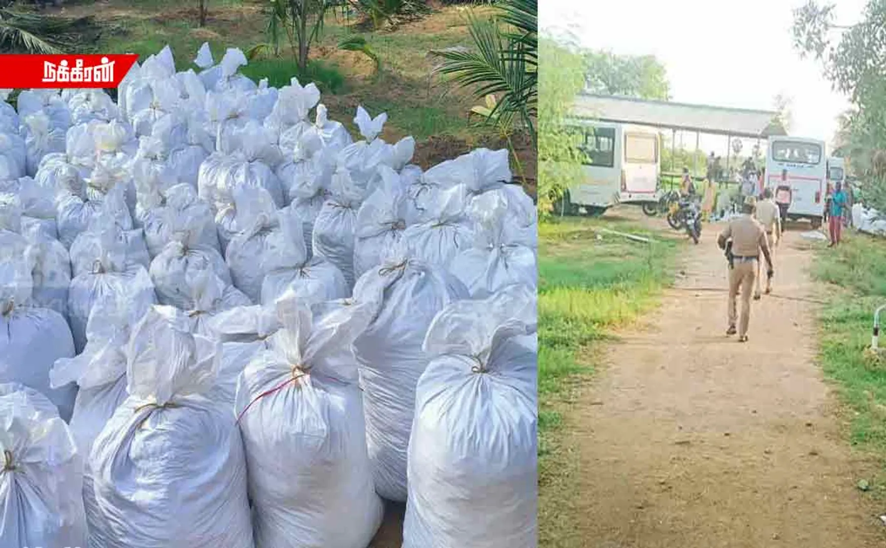 The police found bundles of gaanja during the search