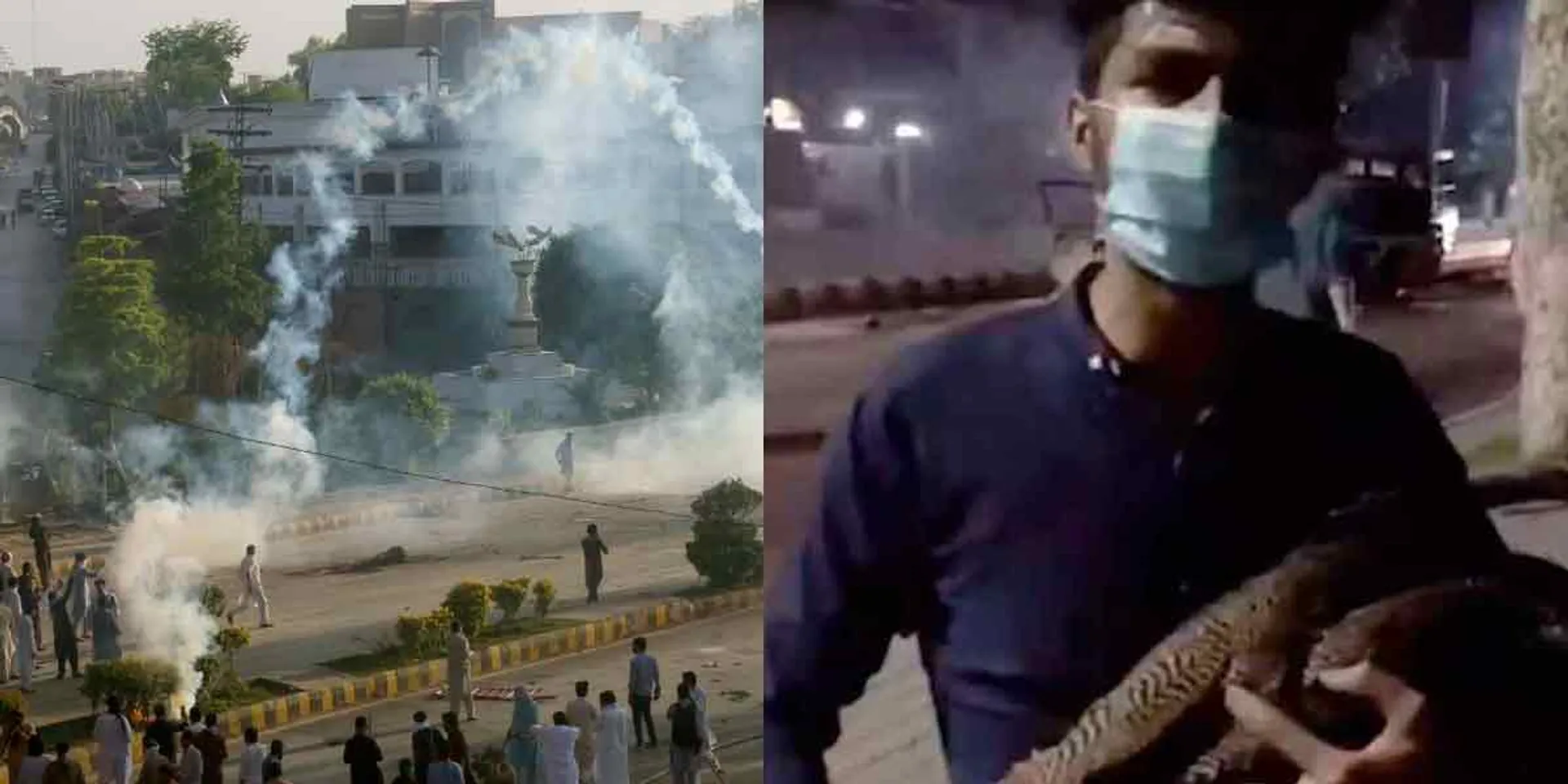 Imran supporter who stole peacock amid riots