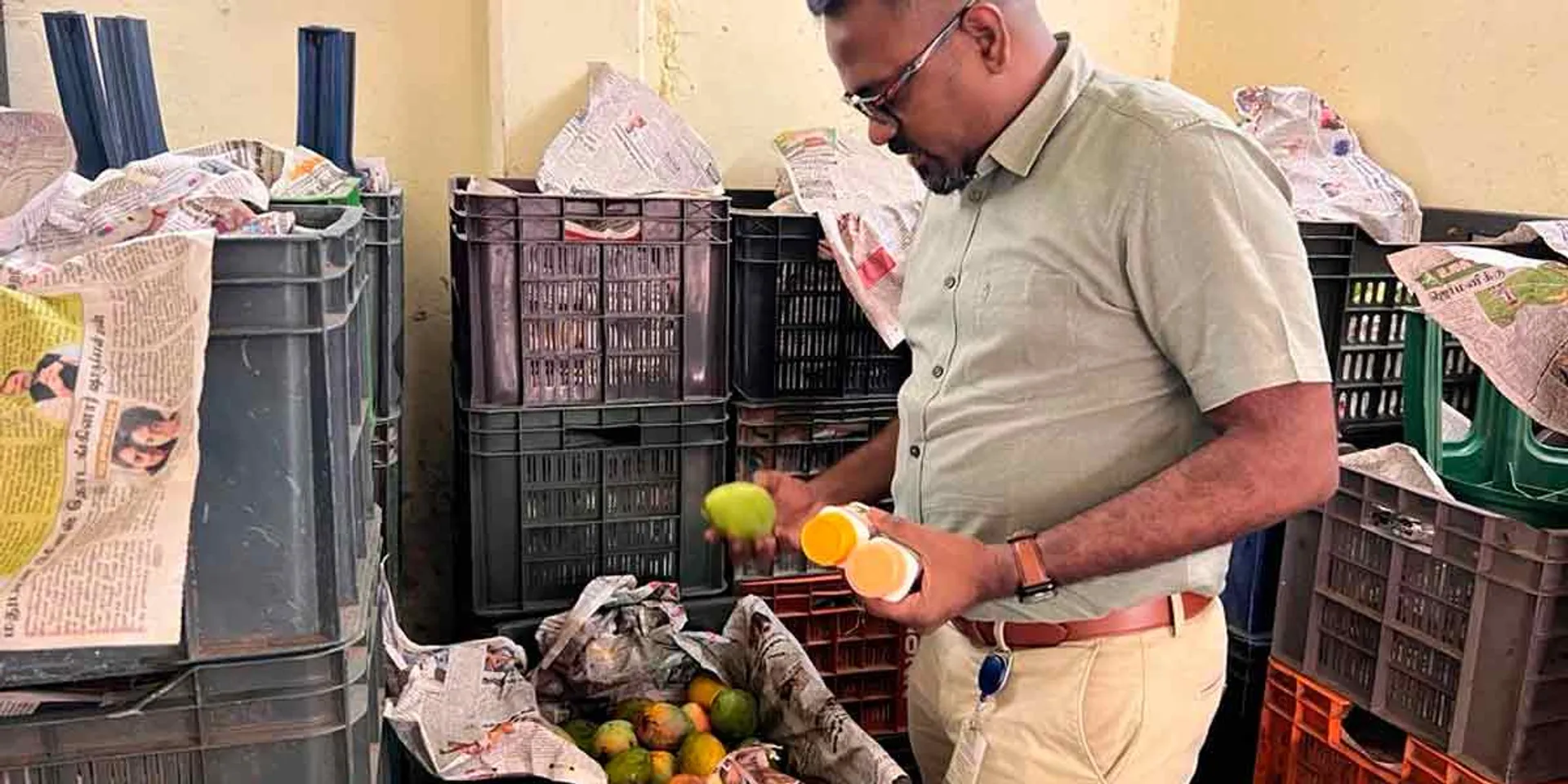 Seizure of 6 tons of mangoes ripened by Ethipan chemical